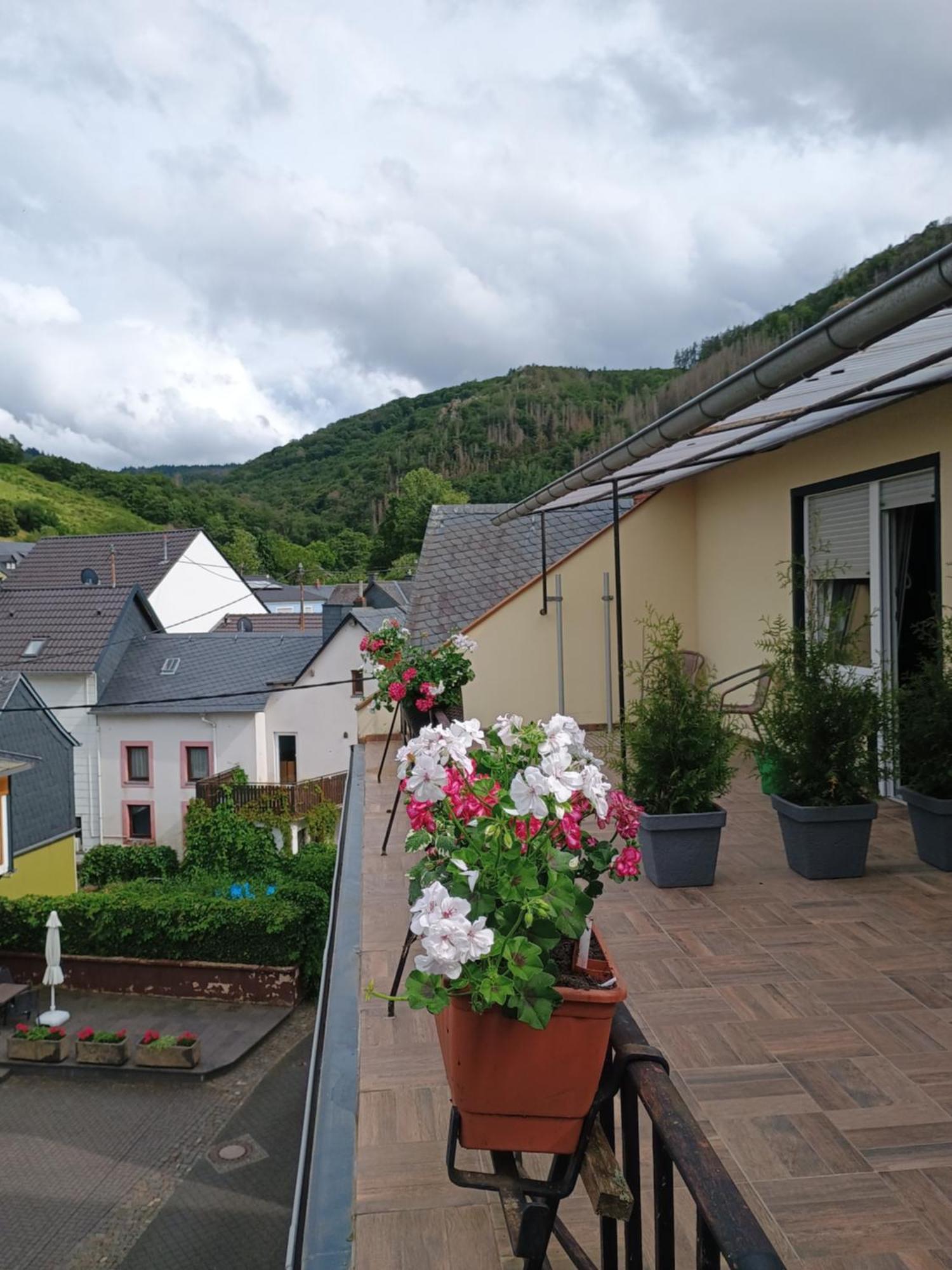Gasthof Zur Grafschaft Veldenz Exterior foto